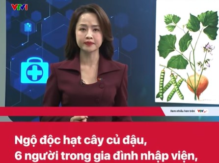 Clip Ngộ Độc khi ăn hạt cây củ đậu, 6 người nhập viện
