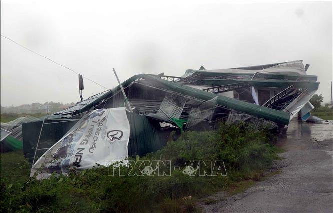 BẢN TIN TỐI 25-8: Thiệt hại do bão số 5 | TikToker xin lỗi vì phát ngôn về sầu riêng