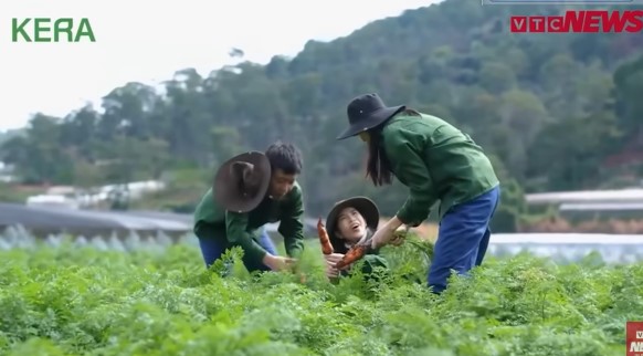 Clip phiên xét xử Thùy Tiền Quang Linh Vlog Hằng Du Mục, Thùy Tiền Quang Linh Vlog Hằng Du Mục mới nhất, Clip tin tức, Clip pháp luật, Clip tin tức pháp luật, Clip Pháp Luật, Hoa hậu Thùy Tiên ký khống hợp đồng để phủ nhận vai trò cổ đông vụ kẹo rau củ Kera, Hoa hậu Thùy Tiên bỏ túi 7 tỷ đồng trong vụ kẹo Kera, Hoa hậu Thùy Tiên kiếm được bao nhiêu tiền từ vụ kẹo Kera, Quang Linh VLogs là ai, Clip NÓNG Quang Linh Vlog Hằng Du Mục bị bắt, Clip Khởi tố bắt tạm giam Quang Linh Vlog và Hằng, Clip Quang Linh Vlog bị bắt, Tại sao Quang Linh Vlog bị bắt, Clip công an đọc lệnh bắt tạm giam Hằng Du Mục Quang Linh Vlog, Hoa Hậu Thùy Tiên Quang Linh VLogs