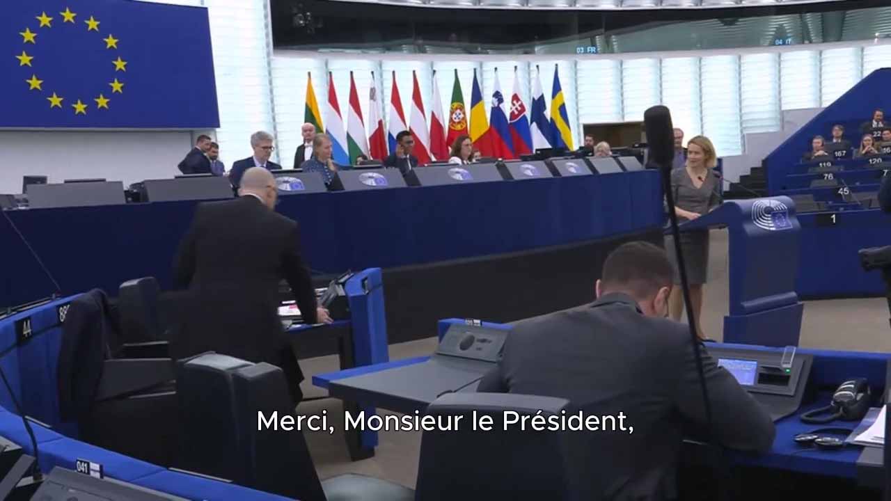 "Greenland Belongs to Its People" - Call for Unity Against Threats and Tariffs | EP Plenary Speech