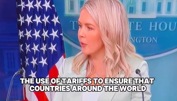 VIDEO Karoline Leavitt Explains Trump’s Free Speech Stance | Starmer Called Out on NATO Law