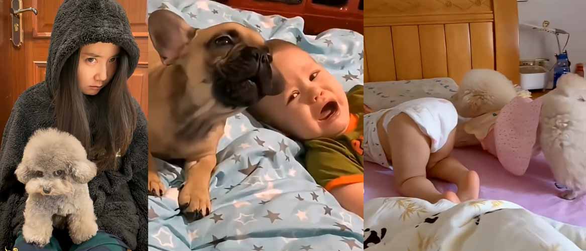 Like owner Like dog The dog imitates its owner Funny Dogs Funny Video, Video compilation of adorable dogs from around the world, Funny dogs video , Video Baby Dogs Cute and Funny Dog, Funny dogs video, Try not laugh funny baby animals, Funny animals cute video, Funny animals cute clip, Clip animal cat, Clip hài hước mới nhất, Clip Mới Nhất Hôm Nay, Clip động vật hài hước, Clip trẻ em và động vật SIỀU HÀI HƯỚC và DỄ THƯƠNG