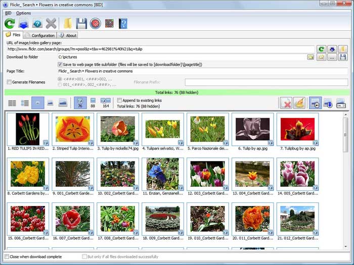 Bulk Image Downloader 6.64 - Download Entire Image Galleries & Videos in One Click