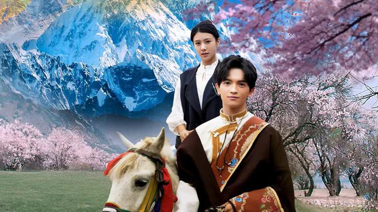 Nơi Hoa Đào Nở Rộ (Finding Home In Blossoms) 2025 Vietsub Full HD - Phim Ngắn Trung Quốc Chữa Lành Đầy Cảm Xúc