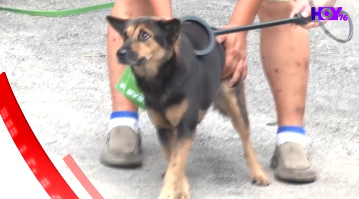 Hong Kong News Roundup: Yuen Long Dog Attack Updates, Historic US Visit & Asian Games Glory