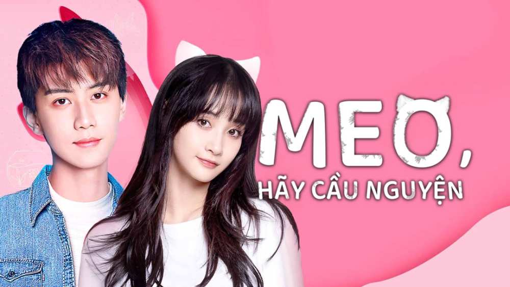 Meo, Hãy Cầu Nguyện (Make a Wish) 2021 Vietsub HD - Cứu Một Chú Mèo, Anh Bất Ngờ Có Cô Gái Đến Từ Thế Giới Song Song