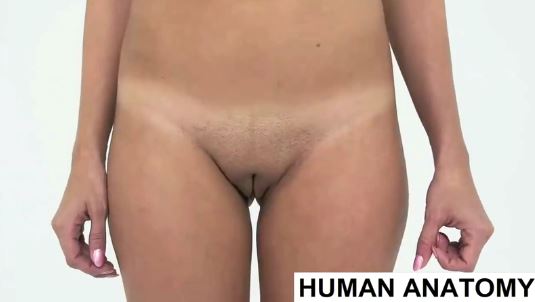 Clip Khám Phá Bộ Phận Sinh Dục Nữ Giới | Human Anatomy | Pelvic Area Visual Examination