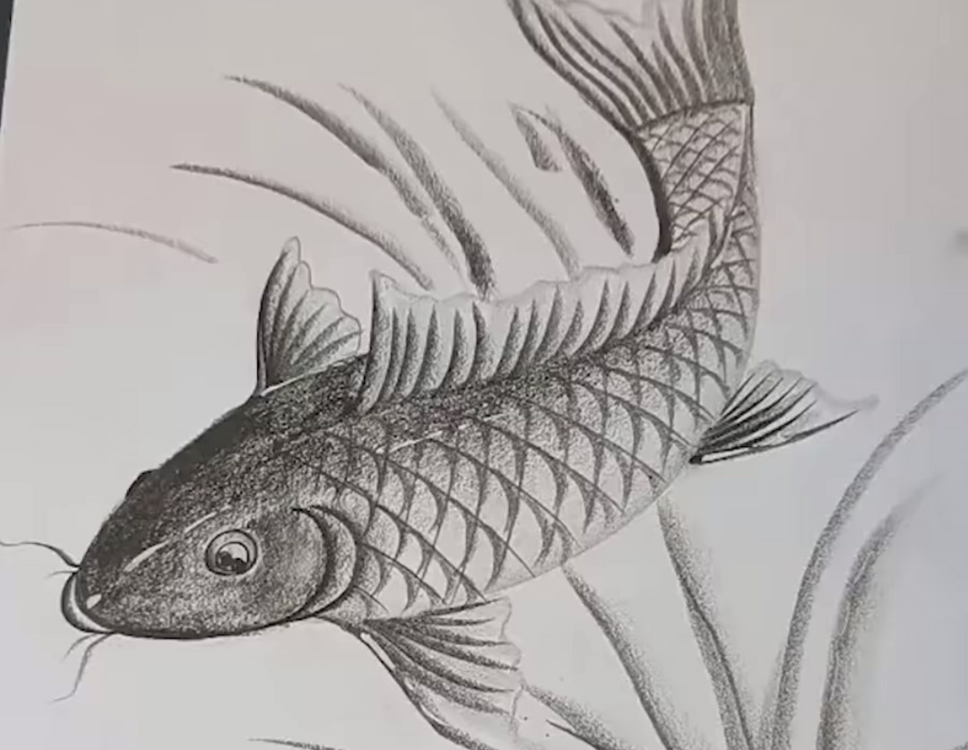 Clip hướng dẫn vẽ con cá đơn giản nhất cho bé